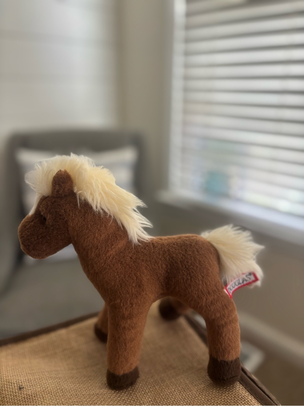 Douglas retired Mr. Brown Chestnut Horse
